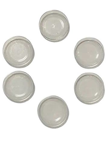 Plastic Seder Plate Liners