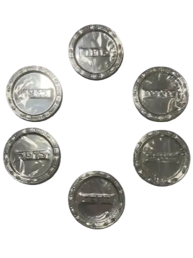 Metal Seder Plate Liners